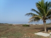 barra (4)